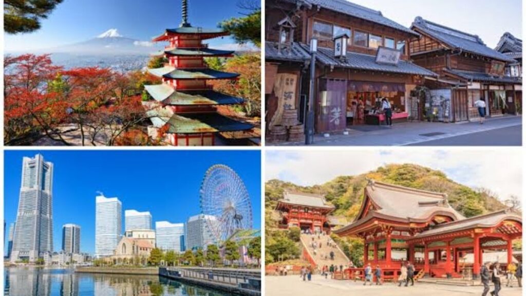 So sánh day trip Phú Sĩ và Kamakura từ Tokyo