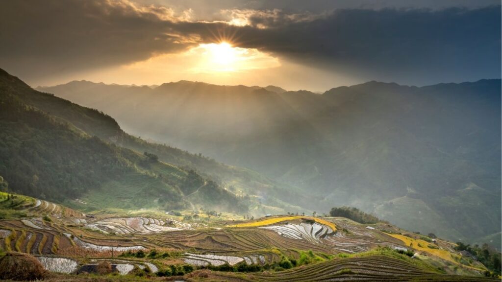 Hà Giang mùa lúa chín nhìn từ trên cao