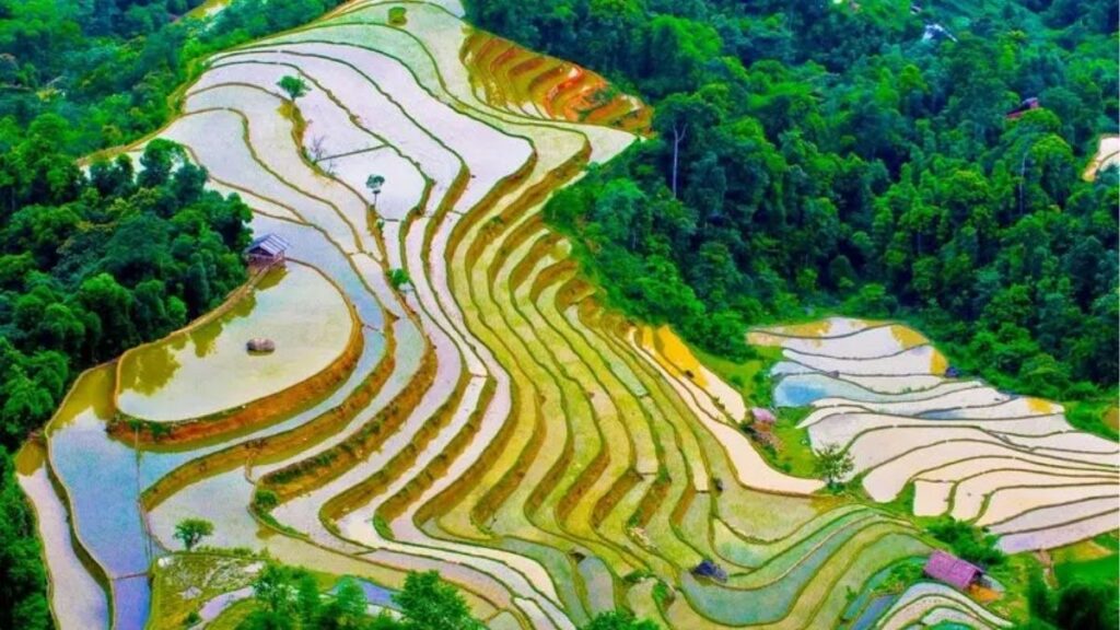Ruộng bậc thang Hoàng Su Phì mùa nước đổ