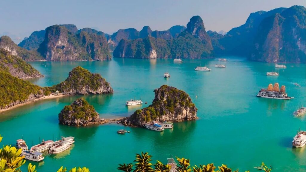 Chọn trải nghiệm ngày 2 trong lịch trình Hạ Long 2N1Đ