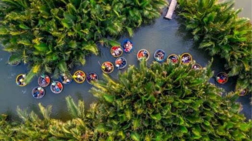 Rừng dừa Cẩm Thanh trong chuyến du lịch Hội An